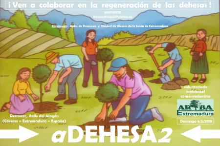 Imagen 6 de Mayo - aDehesa2