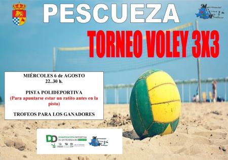 Imagen 6 de Agosto - Torneo voley 3x3